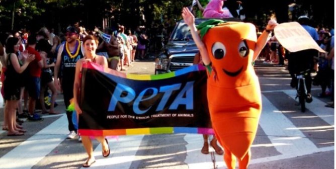 Chris P. Carrot mascot runs in pride parade