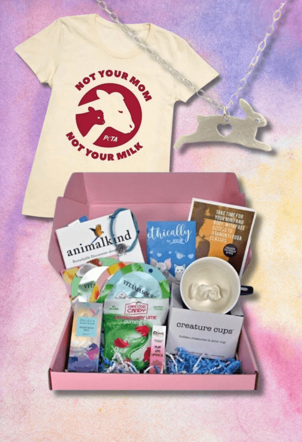 A tee, necklace, and goodie box for mother's day gift ideas at the PETA shop