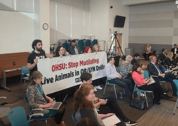 PETA demonstrators holding up a banner saying "OHSU: Stop Mutilating Live Animals in OB/GYN Drills"