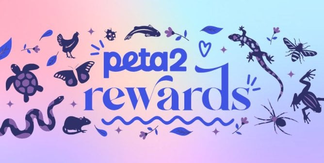peta2 rewards illustration of animals with pastel background