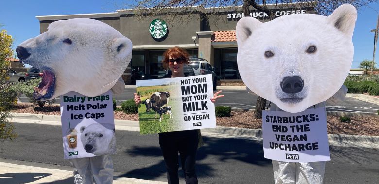 ‘Polar Bears’ Occupy Nevada Starbucks Over Earth-Killing Pro-Dairy Policy