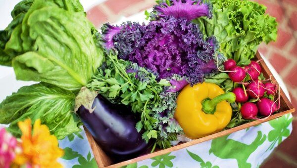 A spread of several colorful vegetables