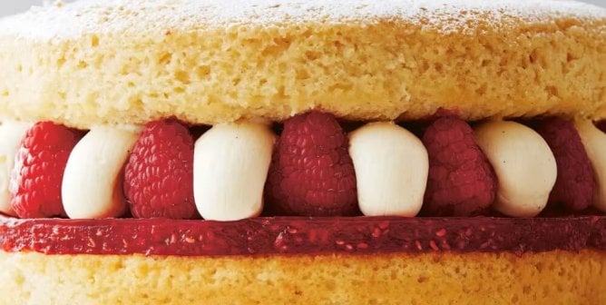 A tiered sponge cake with frosting and raspberries