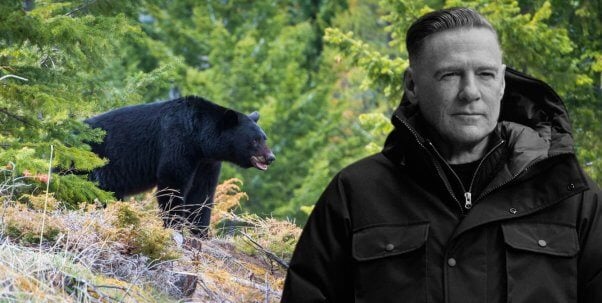 Bryan Adams and a Black Bear in rocky mountains