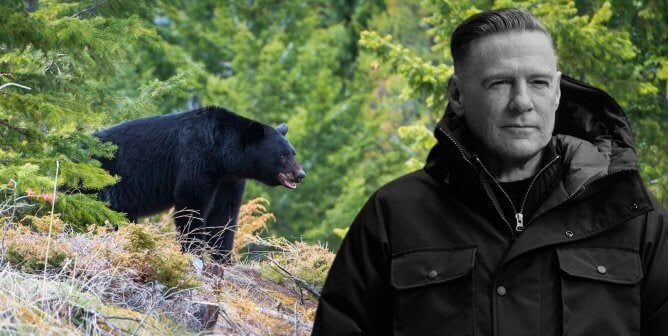 Bryan Adams and a Black Bear in rocky mountains