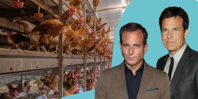 Jason Bateman and Will Arnett next to chickens in cage-free situation