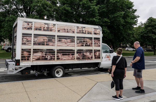 Two people stand in front of the truck
