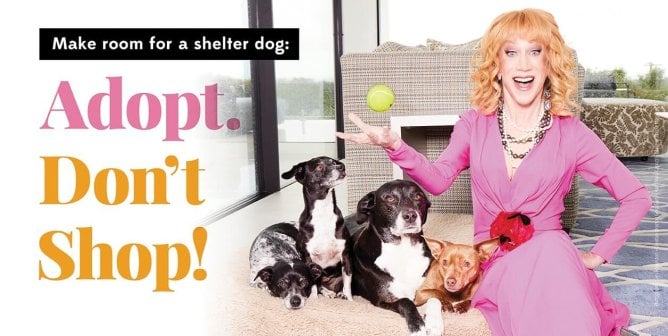 Kathy Griffin tossing a tennis ball with three dogs with text reading "Make room for a shelter dog: Adopt. Don't Shop!"