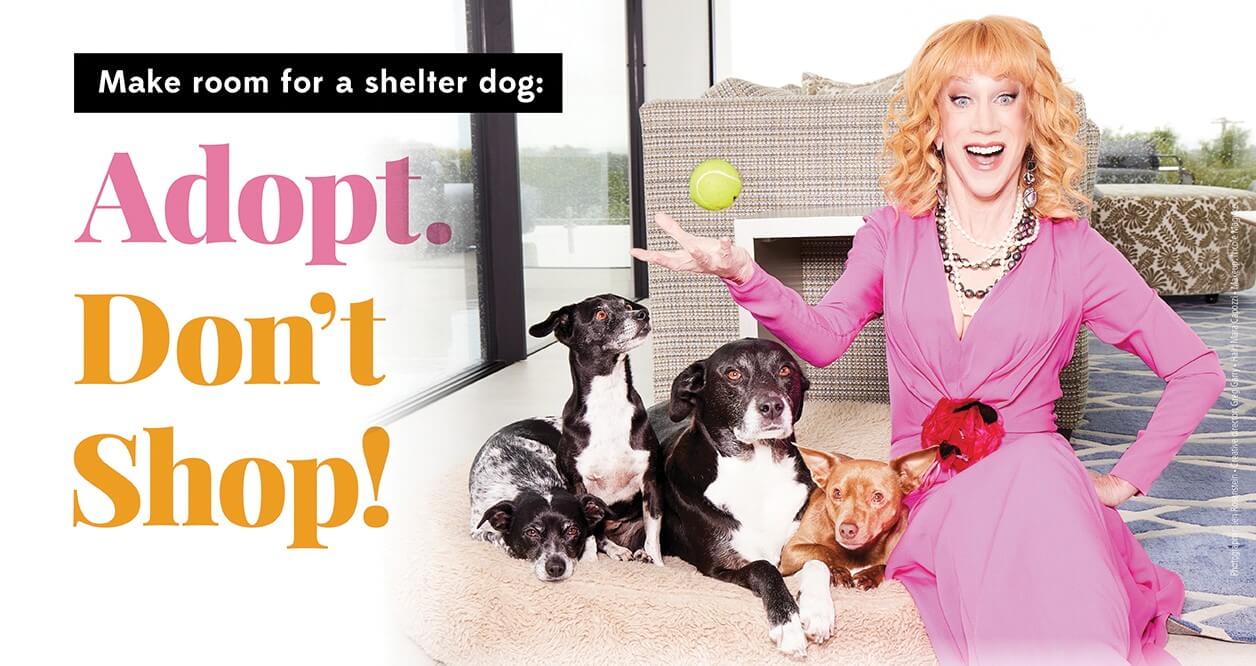 Kathy Griffin: Make Room for Homeless Dogs