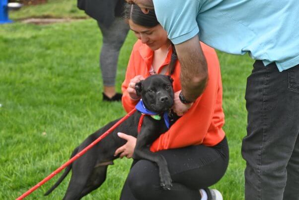 dog sits on woman's lap at poochella 2024