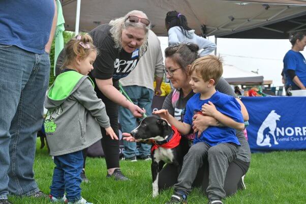 Perro juega con su familia con niños pequeños en el festival de adopción