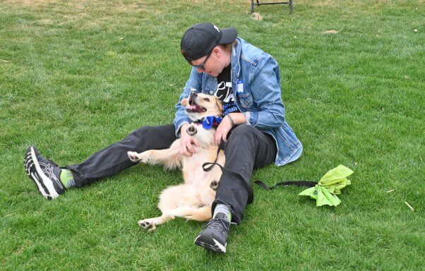 dog gets belly rub by PETA staffer