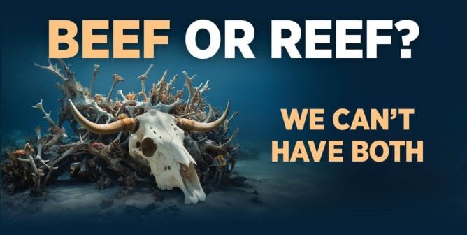 PETA's ad that says "Beef or reef? we can't have both" with a cow's skull on coral reef made of bones