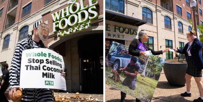 ‘Monkeys’ Dump Coconuts at Whole Foods Over Grocer’s Ties to Forced Labor