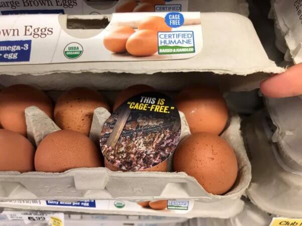 A 'cage free' sticker inside of an egg carton