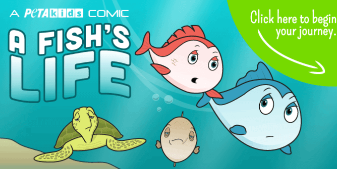 A Fish's life comic