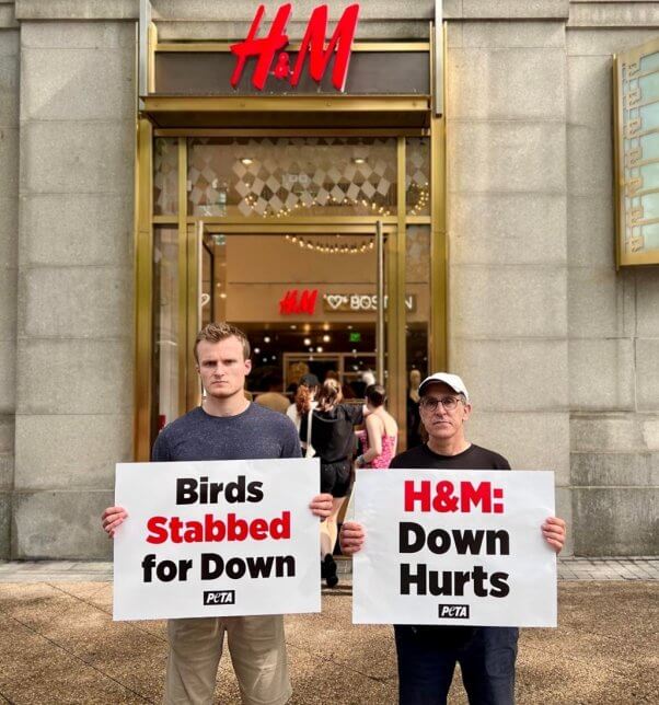 Two demonstrators standing with signs in front of an H&M