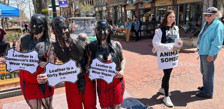 Leather Sales in Colorado Prompt PETA Black Sludge Dump