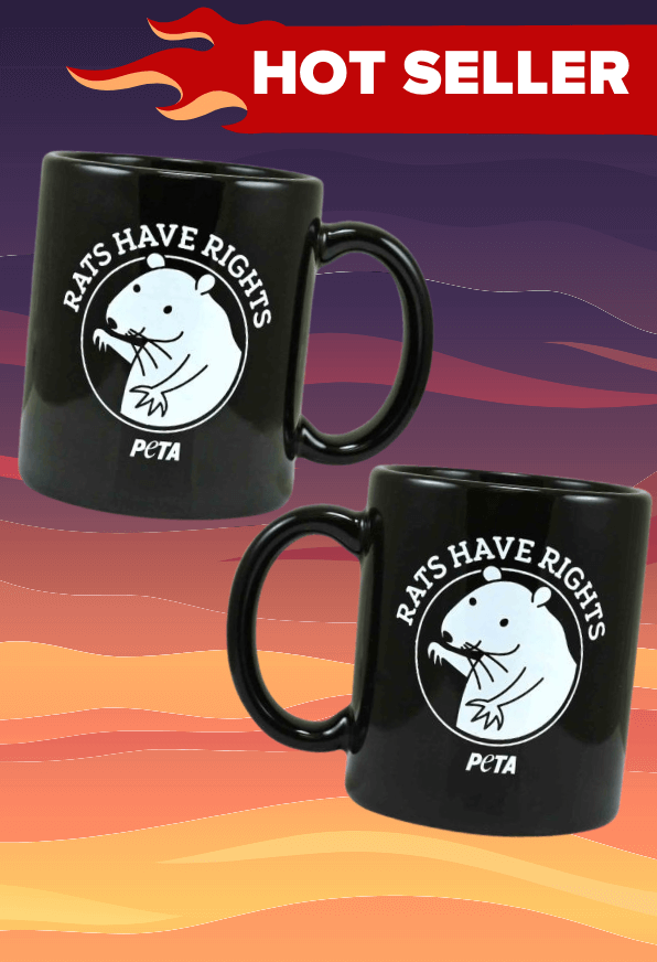 rat mug hot seller