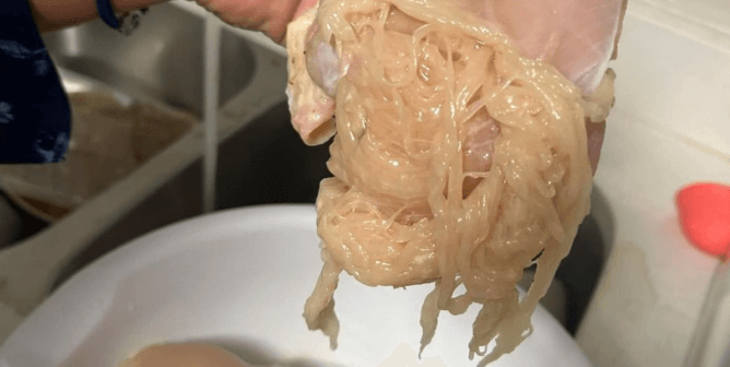 spaghetti chicken meat is held over a bowl
