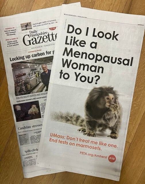 Photo of a full page spread in the Daily Hampshire Gazette
