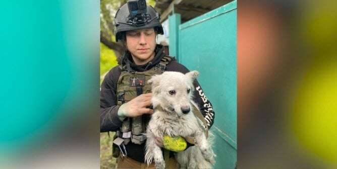 PETA-supported rescuer holding dirty white dog