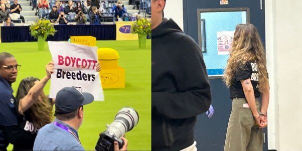 peta protestor at 2024 westminster dog show arrested holding "boycott breeders" sign