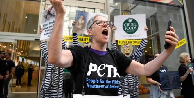 A PETA demonstrator stands in front of a Whole Foods holding a coconut