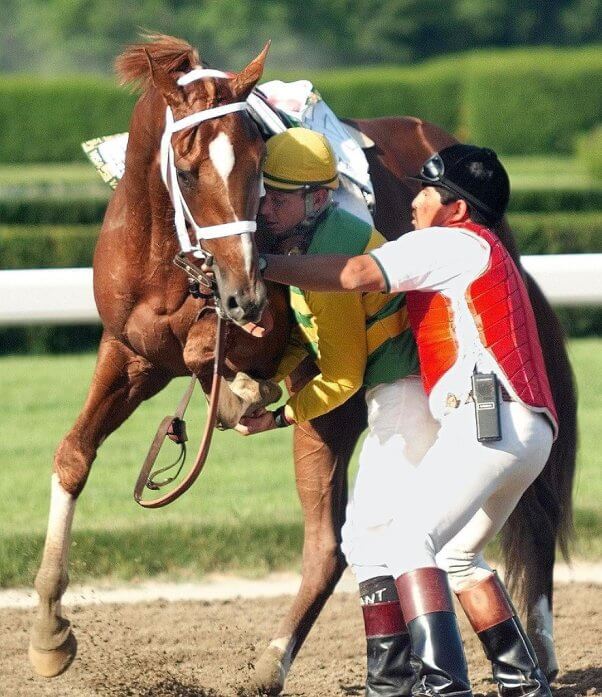 Charismatic after sustaining an injury in the Belmont Stakes