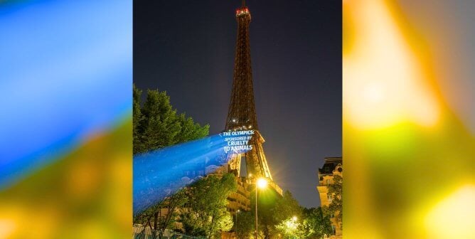 PETA UK's projection to call out LVMH at the olympics in Paris. The projection on the Eiffel Tower says "The Olympics: sponsored by Cruelty to animals"