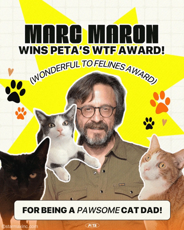Marc Maron award