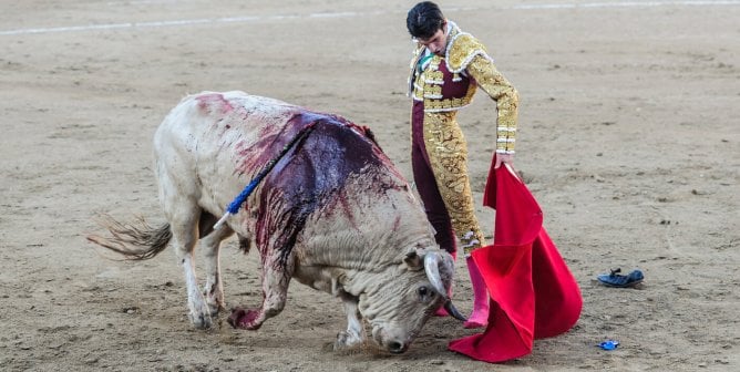 A bloodied bull is taunted by a matador during a bullfight. San Sebastian de los Reyes, Madrid, Spain, 2010.