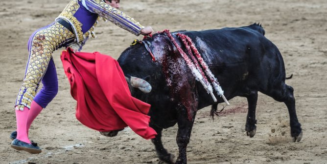 A bloodied bull is deeply stabbed by a matador's sword during a bullfight. San Sebastian de los Reyes, Madrid, Spain