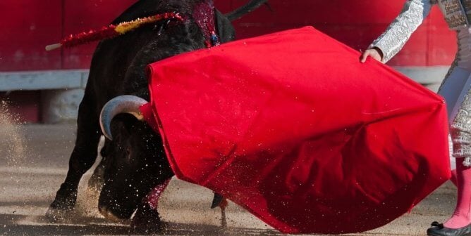 bullfight