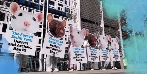 forced swim test protest blue edges