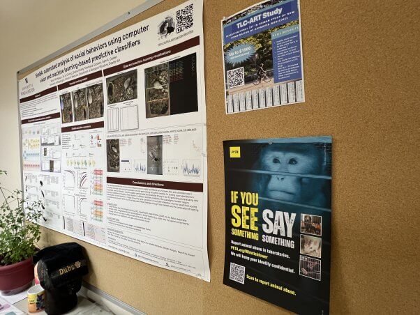 Corkboard with a PETA flyer