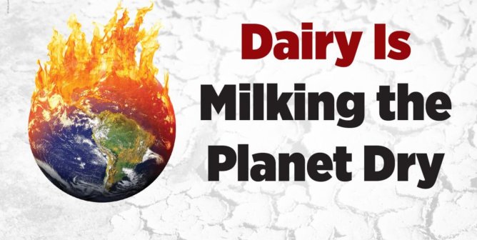 Globe on fire next to text "Dairy Is Milking the Planet Dry" to show how dairy amplifies the climate catastrophe
