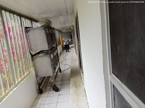 A dirty hallway stored with mobile cages