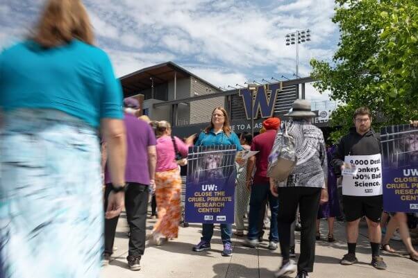 Demonstrators holding signs. One shows a photo of a monkey in a cage with text reading UW: Close the Cruel Primate Research Center