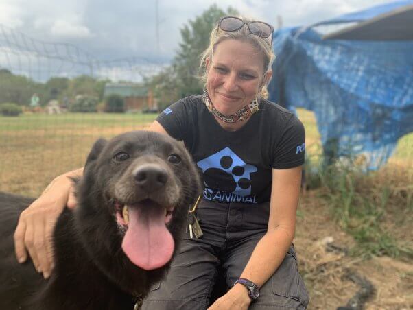 Close-up of Rusty with a PETA fieldworker