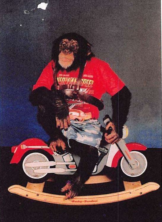 Buck the chimpanzee in a red shirt sitting on a rocking horse