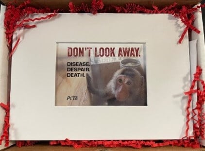 Gift box with greeting card inside