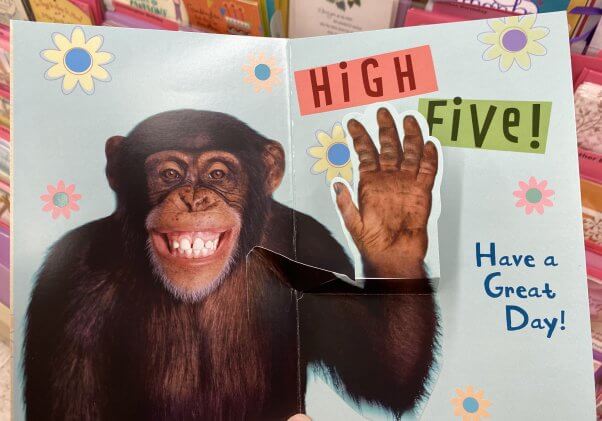Card showing Conner the chimpanzee