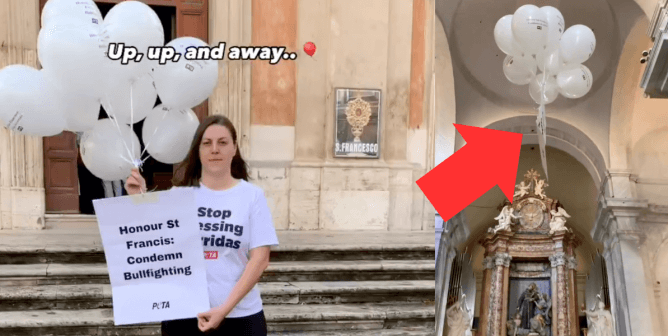 peta protestor releases balloons in church to tell pope francis to condemn bullfighting