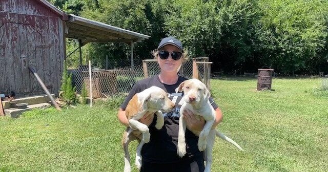 rescued puppies with cap worker