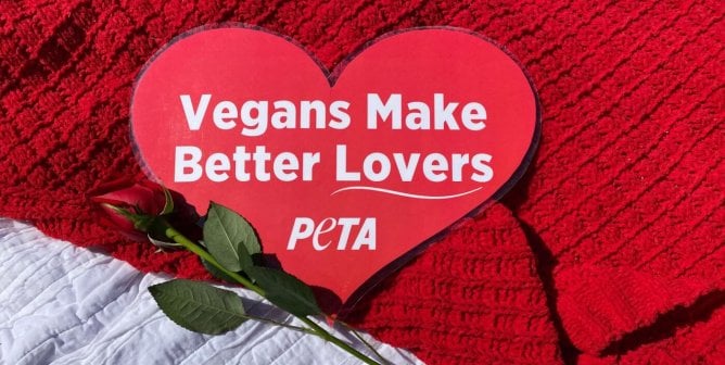 vegans make better lovers PETA poster on red blanket next to rose