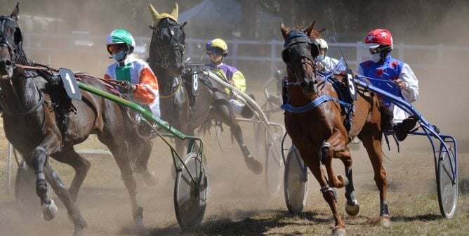 harness racers making horses race on dirt track