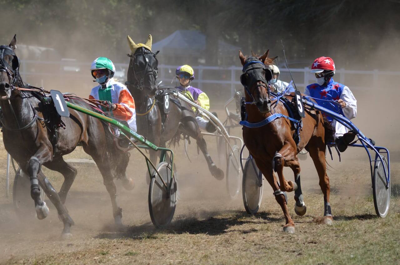 PETA Seeks Criminal Charges After 17 Horses Die in Racetrack Barn Fire