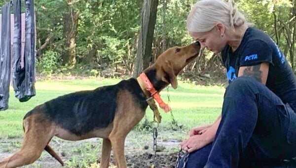 CAP worker with dog