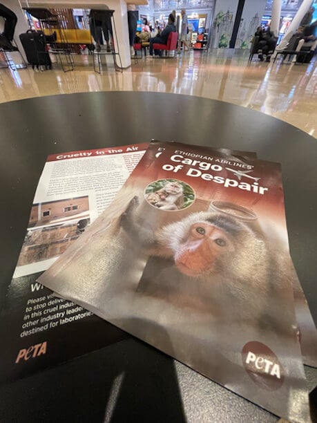 Flyers in an airport
